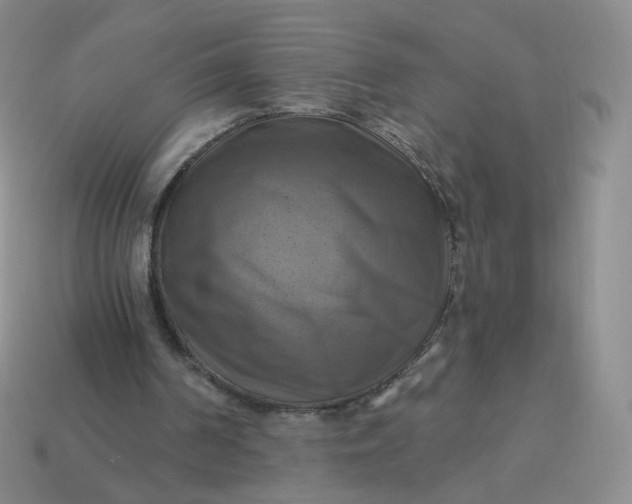 X0000114020194200910161805