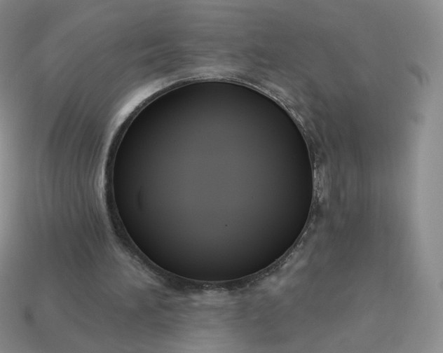 X0000114020196200910161804