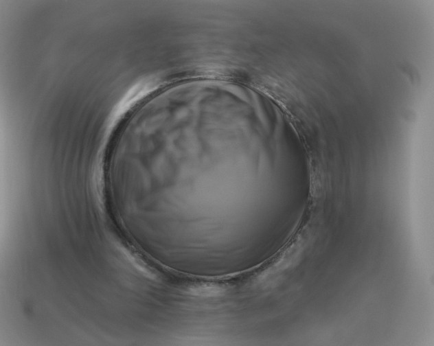 X0000114020198200910161804