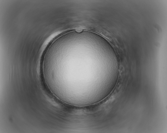 X0000114020200200910161804