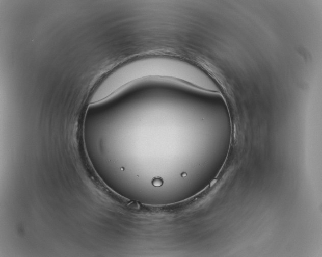 X0000114020201200910161804