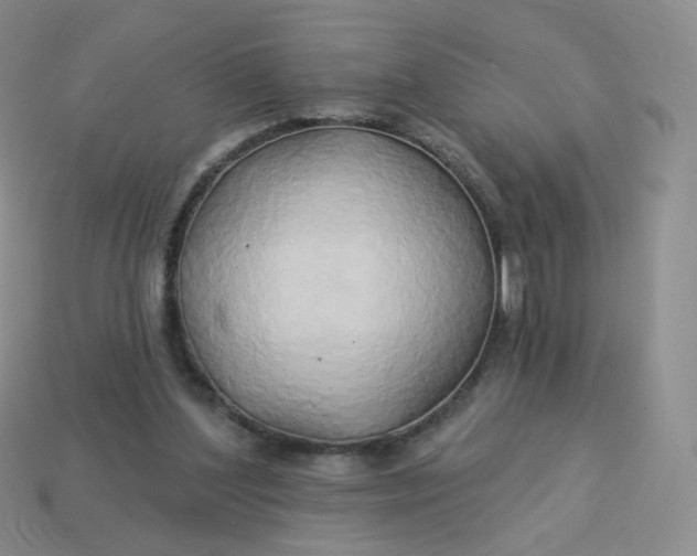 X0000114020204200910161804