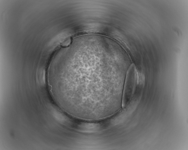 X0000114020205200910161804