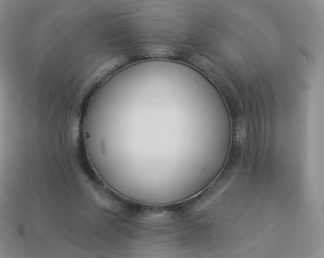 X0000114020206200910161804