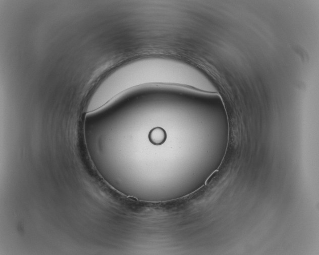 X0000114020207200910161804