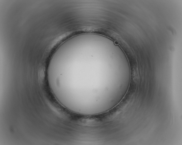 X0000114020208200910161804