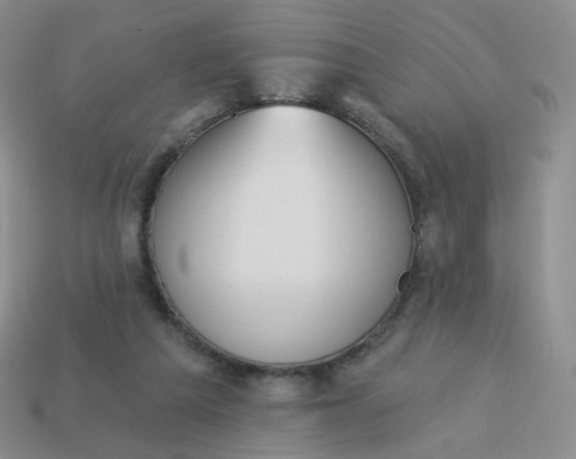 X0000114020209200910161804