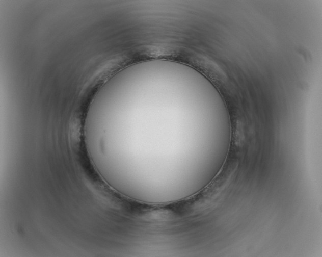 X0000114020210200910161804