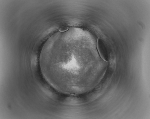 X0000114020211200910161804