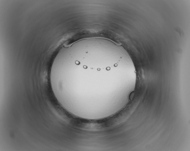 X0000114020212200910161804