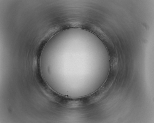 X0000114020213200910161804