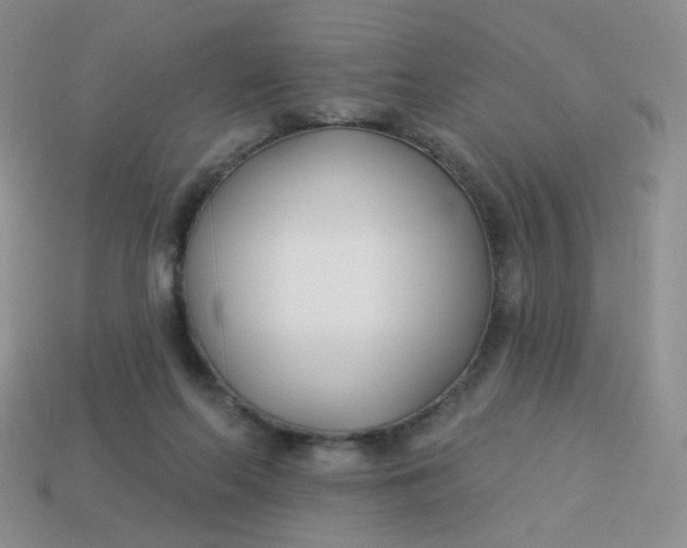 X0000114020214200910161804