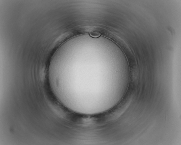 X0000114020216200910161804