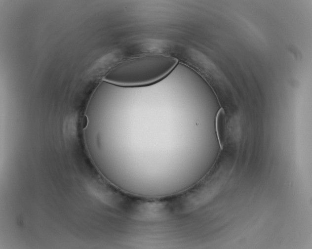 X0000114020217200910161804