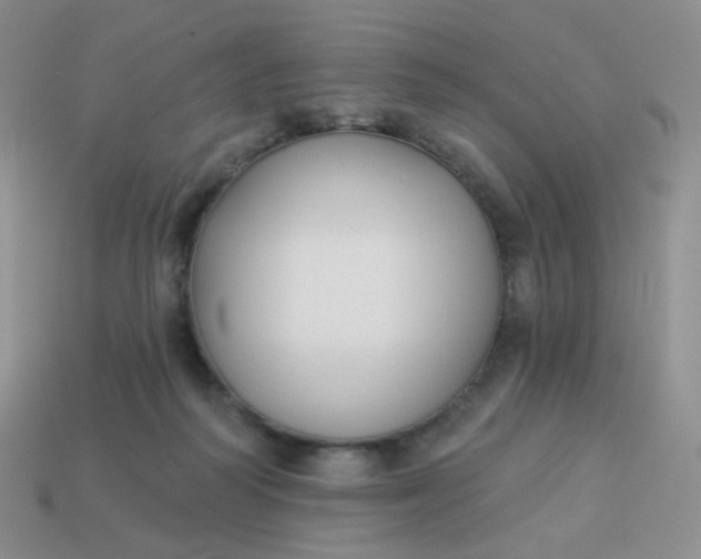 X0000114020218200910161804