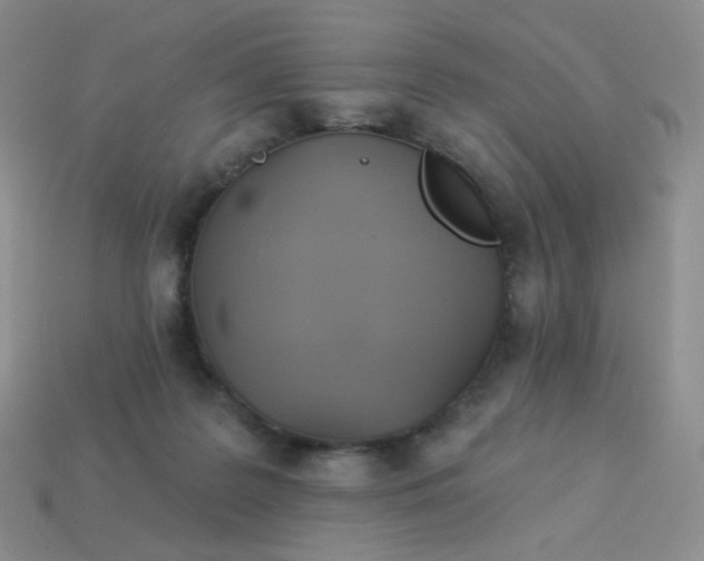 X0000114020219200910161804