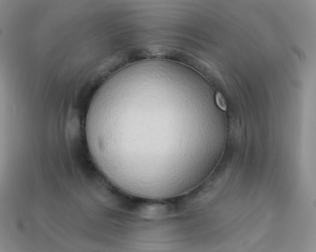 X0000114020220200910161804