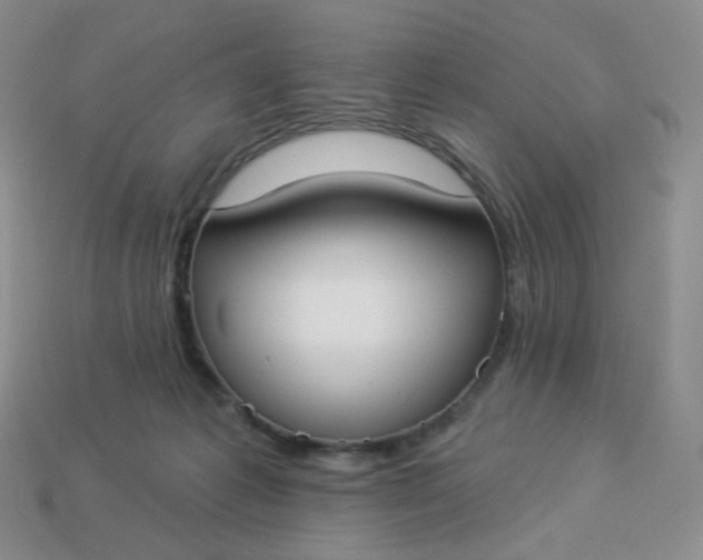 X0000114020221200910161804