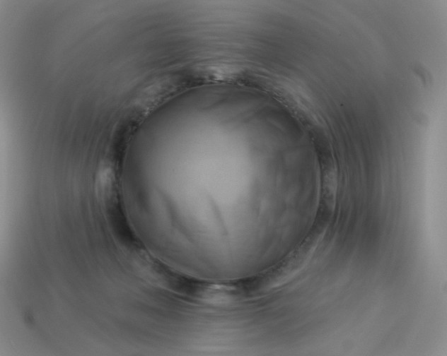 X0000114020222200910161804