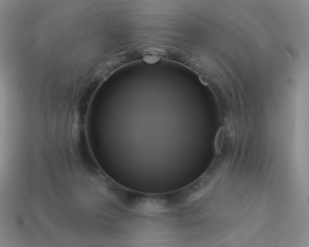 X0000114020223200910161804