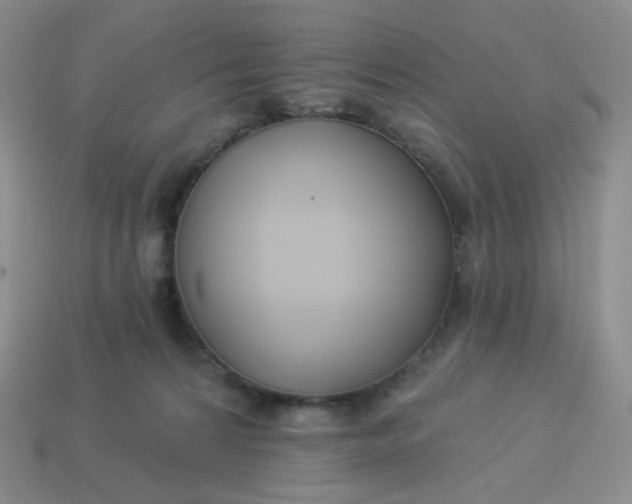 X0000114020224200910161804