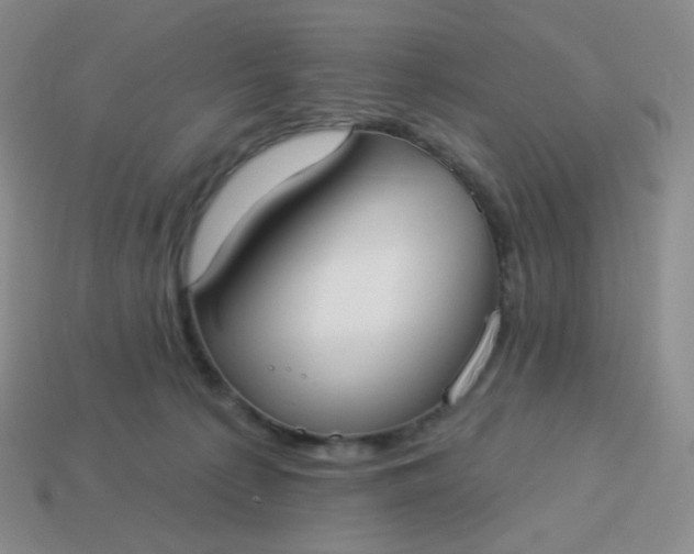 X0000114020225200910161804