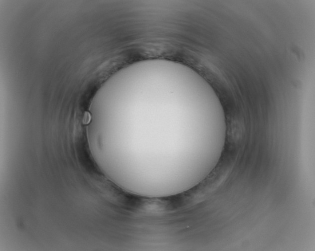 X0000114020226200910161804