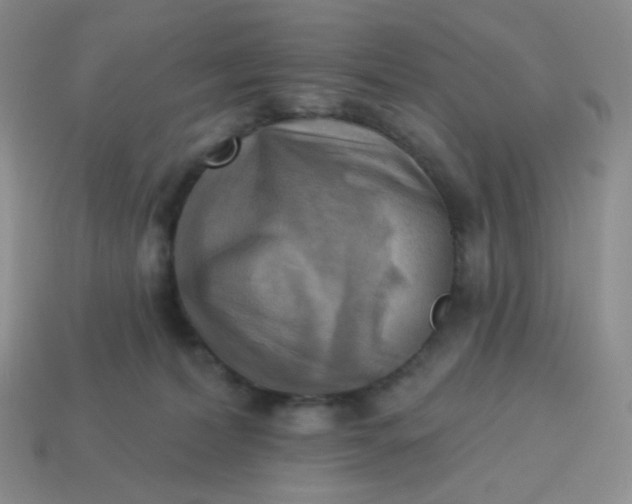 X0000114020228200910161804