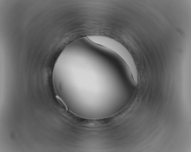 X0000114020229200910161804