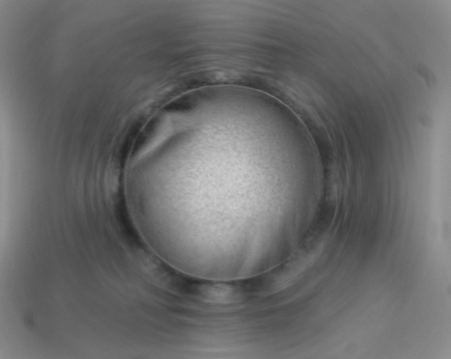 X0000114020230200910161804