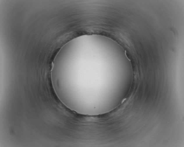 X0000114020233200910161804