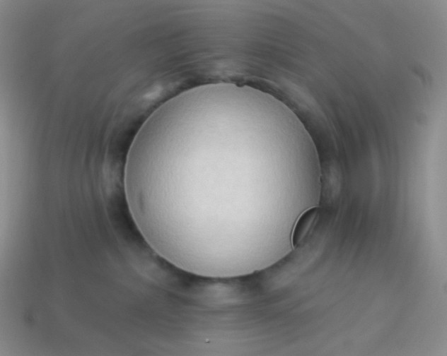 X0000114020236200910161804