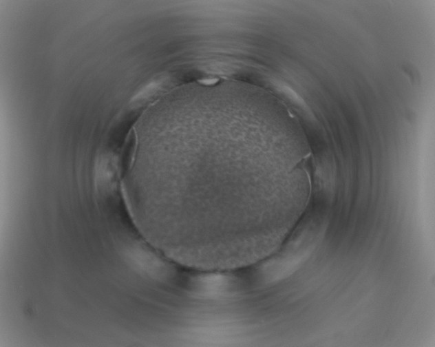 X0000114020237200910161804