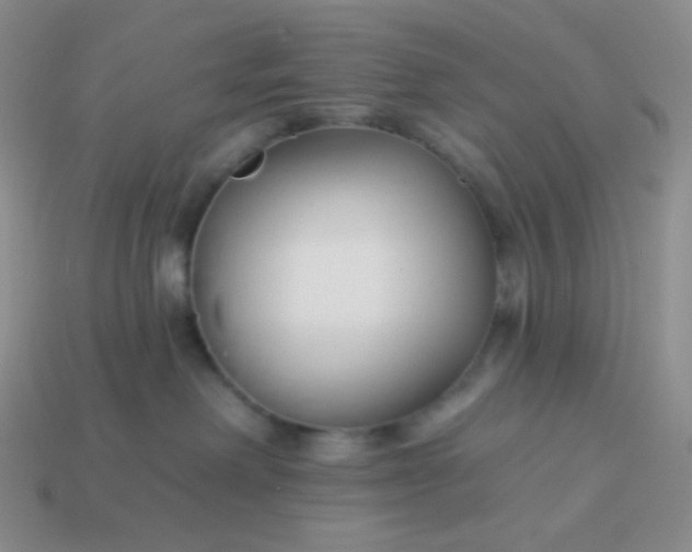 X0000114020238200910161804