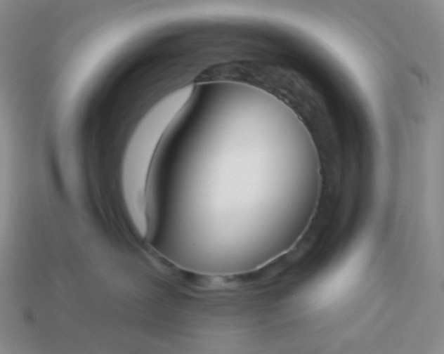 X0000114020239200910161804