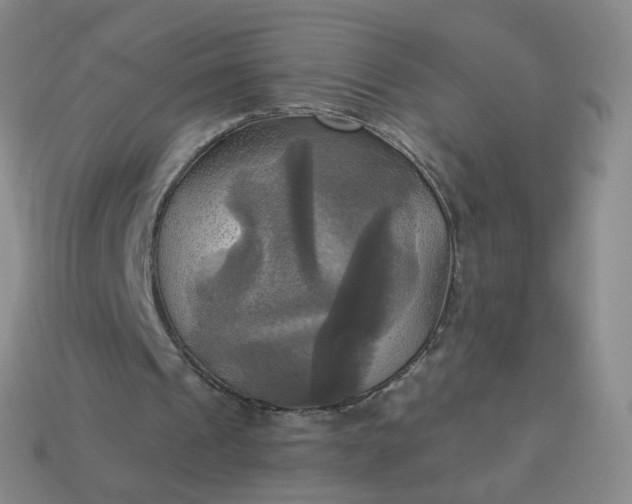 X0000114020241200910161803