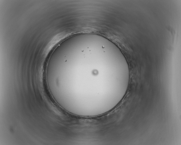 X0000114020242200910161803