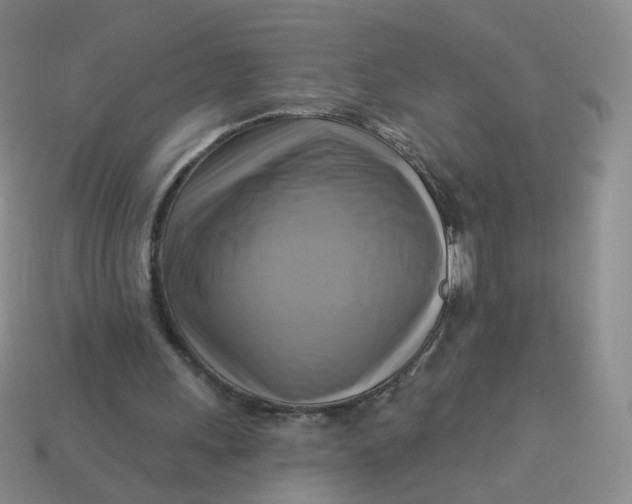 X0000114020243200910161803