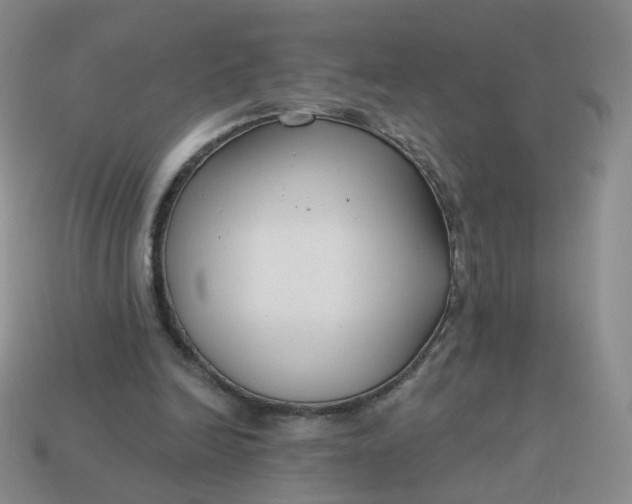 X0000114020246200910161803