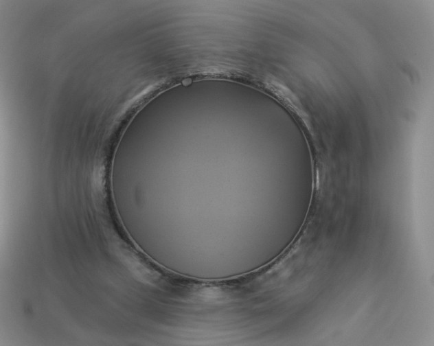 X0000114020249200910161803