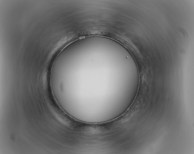 X0000114020250200910161803