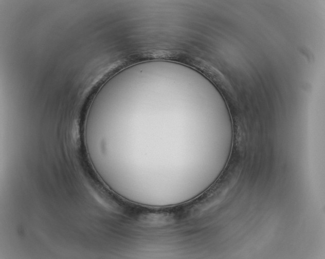 X0000114020251200910161803