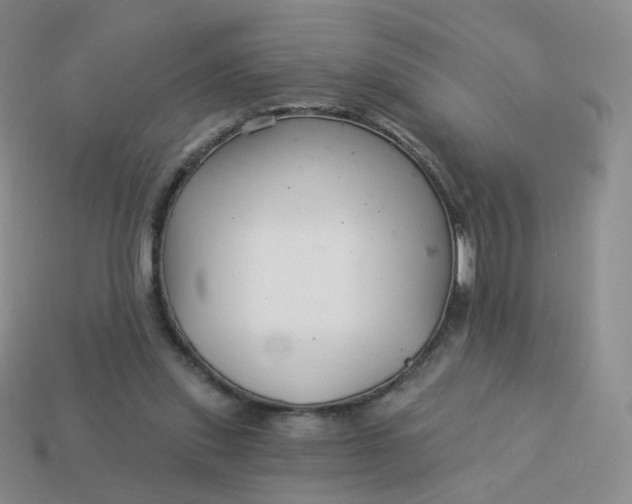 X0000114020253200910161803