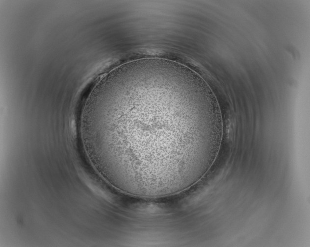 X0000114020254200910161803