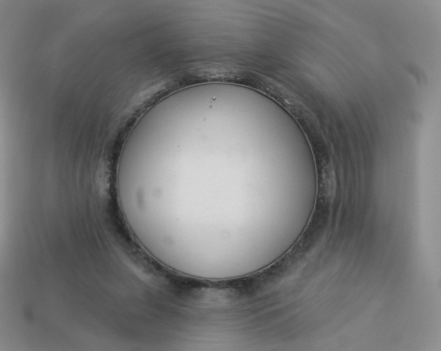 X0000114020255200910161803