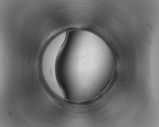 X0000114020256200910161803