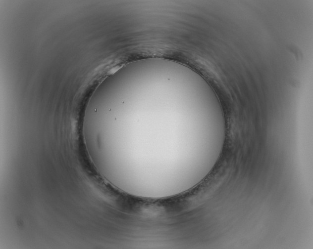 X0000114020258200910161803