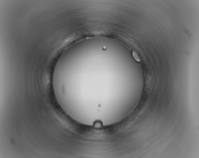 X0000114020260200910161803