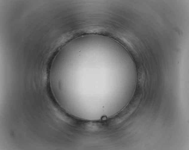 X0000114020261200910161803