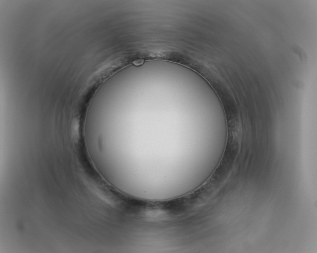 X0000114020262200910161803